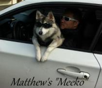 Mathew's “Meeko”